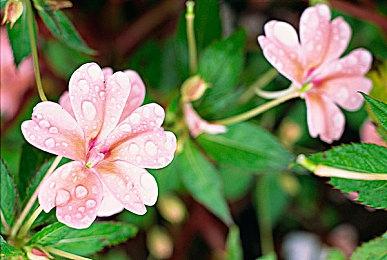 《街头霸王5》宣布最终角色DLC 武术家卢克